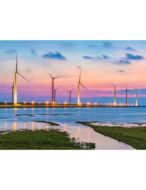 Gaomei Wetlands Birdwatching Ecotour (One Day)