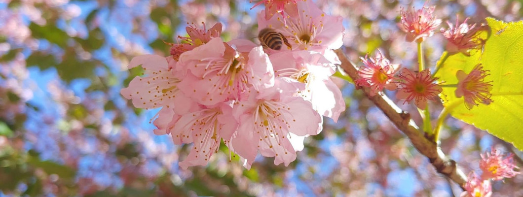 Taiwan Luxury Travel Guide: A Refined Journey of Comfort and Style