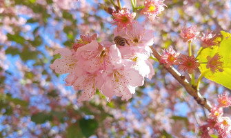 Taiwan Luxury Travel Guide: A Refined Journey of Comfort and Style