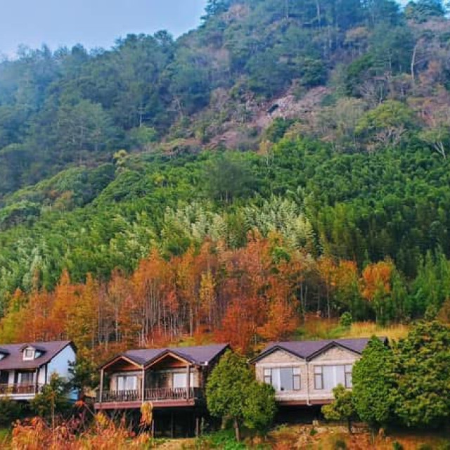 Forest Retreat: Bamboo Trails & Nature Therapy｜Xitou, Nantou 2 Days