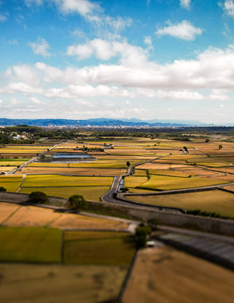 Starlight & Tea: Mountain Stay & Tea Culture Experience｜Shanlinxi, Nantou 2 Days