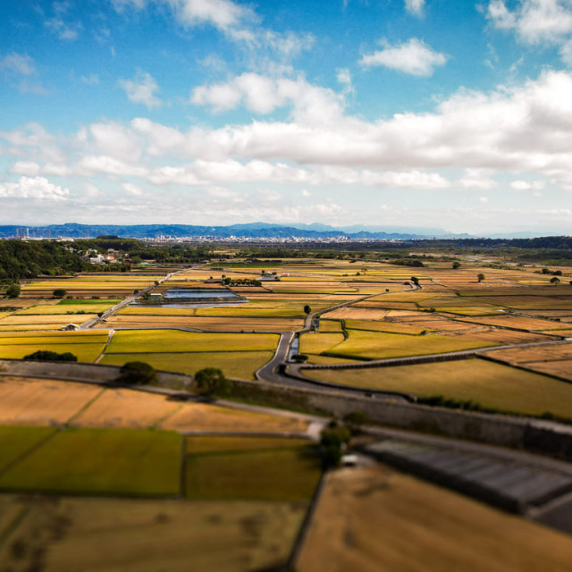 Starlight & Tea: Mountain Stay & Tea Culture Experience｜Shanlinxi, Nantou 2 Days