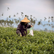 Go Deep Nature<br>生態自然