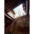 The Essence of Taiwan: Lukang Ancient Town Deep Dive